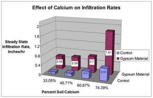 Infiltration Effects of Calcium Infiltration Effects of Calcium