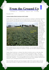 Soil Solutions Newsletters Soil Solutions Newsletters